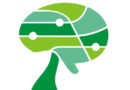 Curso “Diseño de proyectos de Educación Ambiental” Diseño de proyectos de Educación Ambiental
