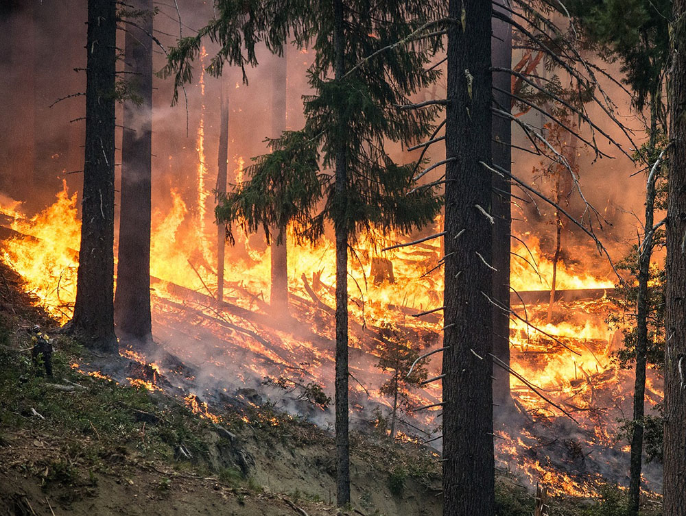 Imágenes de incendios forestales