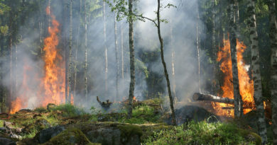 incendios forestales de Cantabria