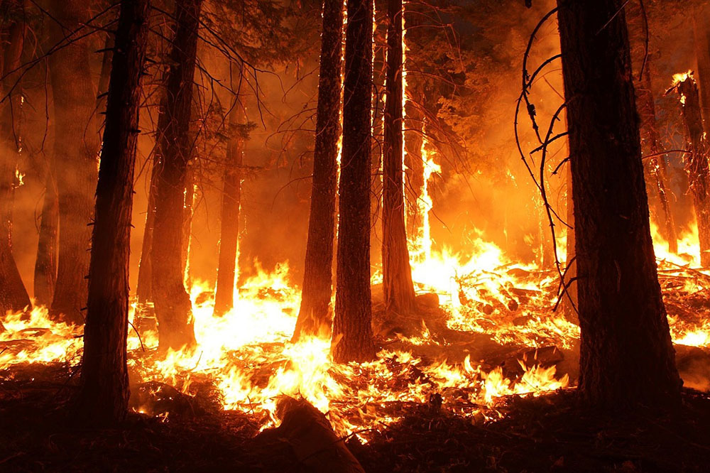 Imágenes de incendios forestales