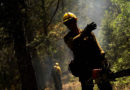 Curso “Desarrollo rural, gestión forestal y fuego…”