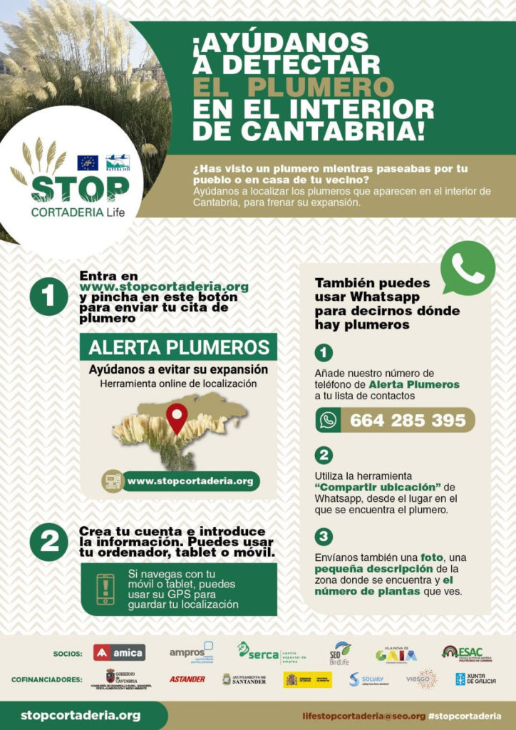 Campaña alerta plumeros