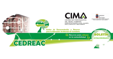 maratón digital por la emergencia climática